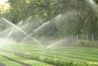 Gollanlandscaping-water-management-and-drainage-17.jpg; ?>